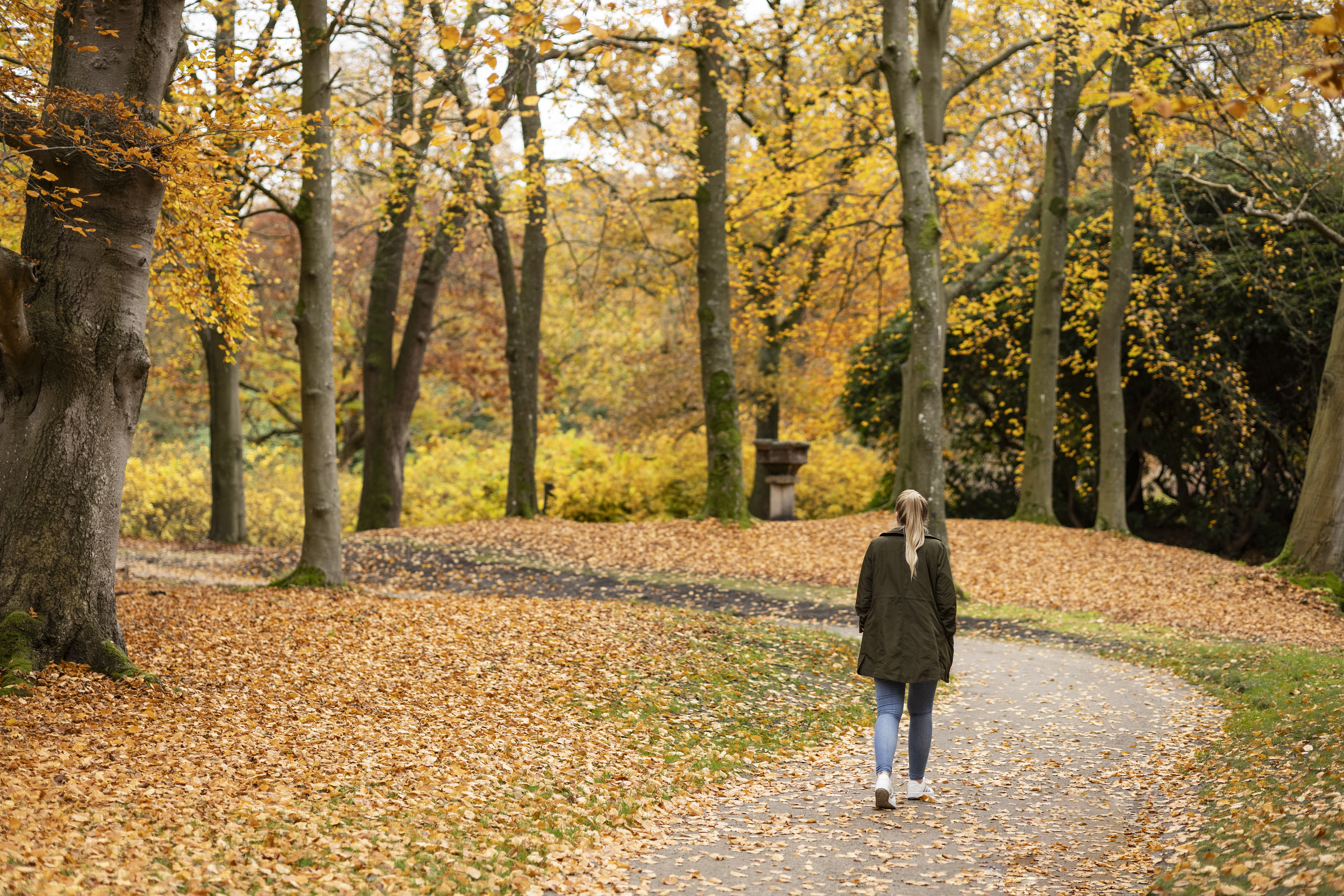 Spaziergang im Herbst im Schlosspark Lütetsburg
