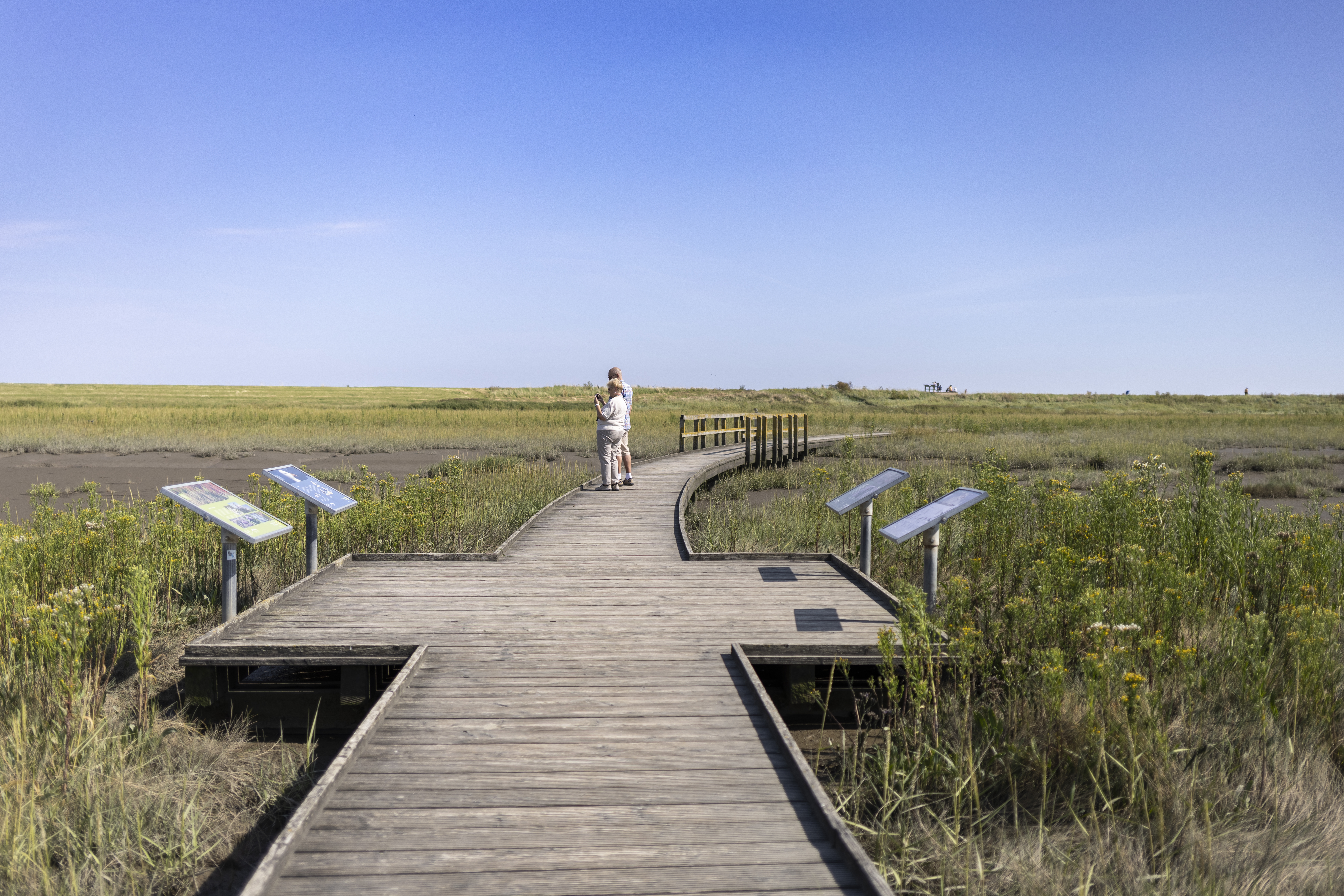Holzsteg am Langwarder Groden