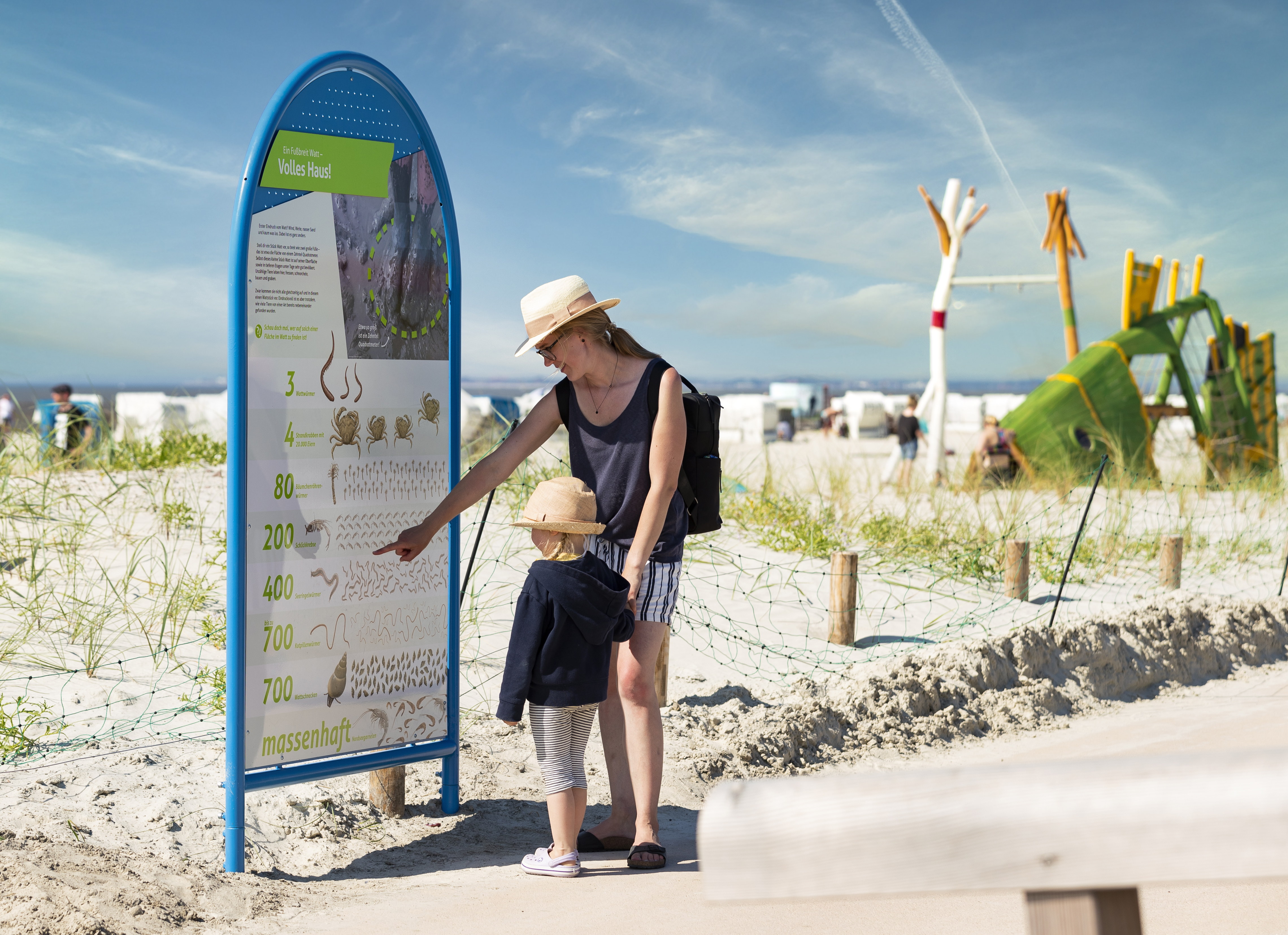 Dünenlehrpfad auf dem neuen DECK in Norden-Norddeich