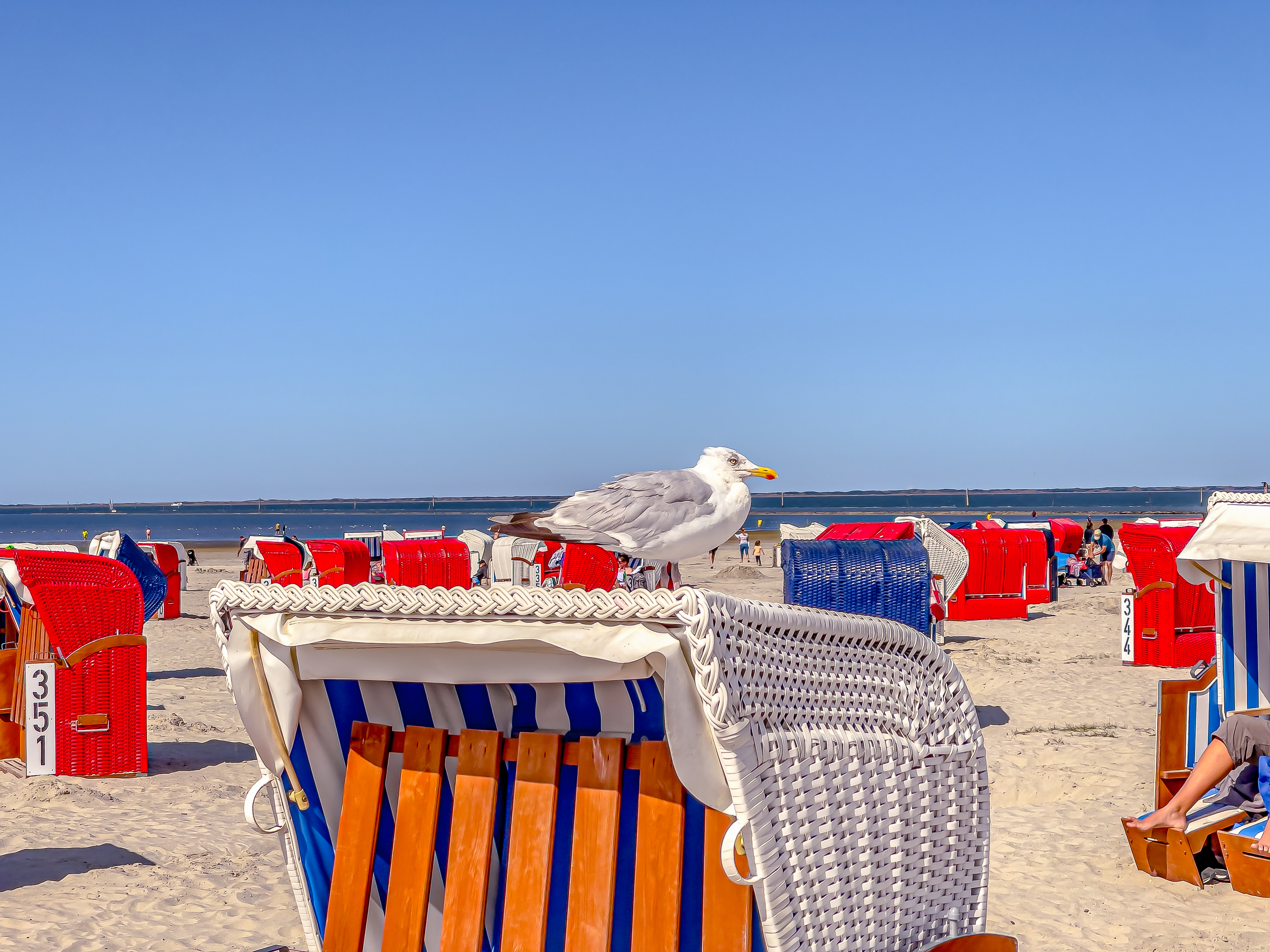 Möwe auf Strandkorb am Strand von Bensersiel