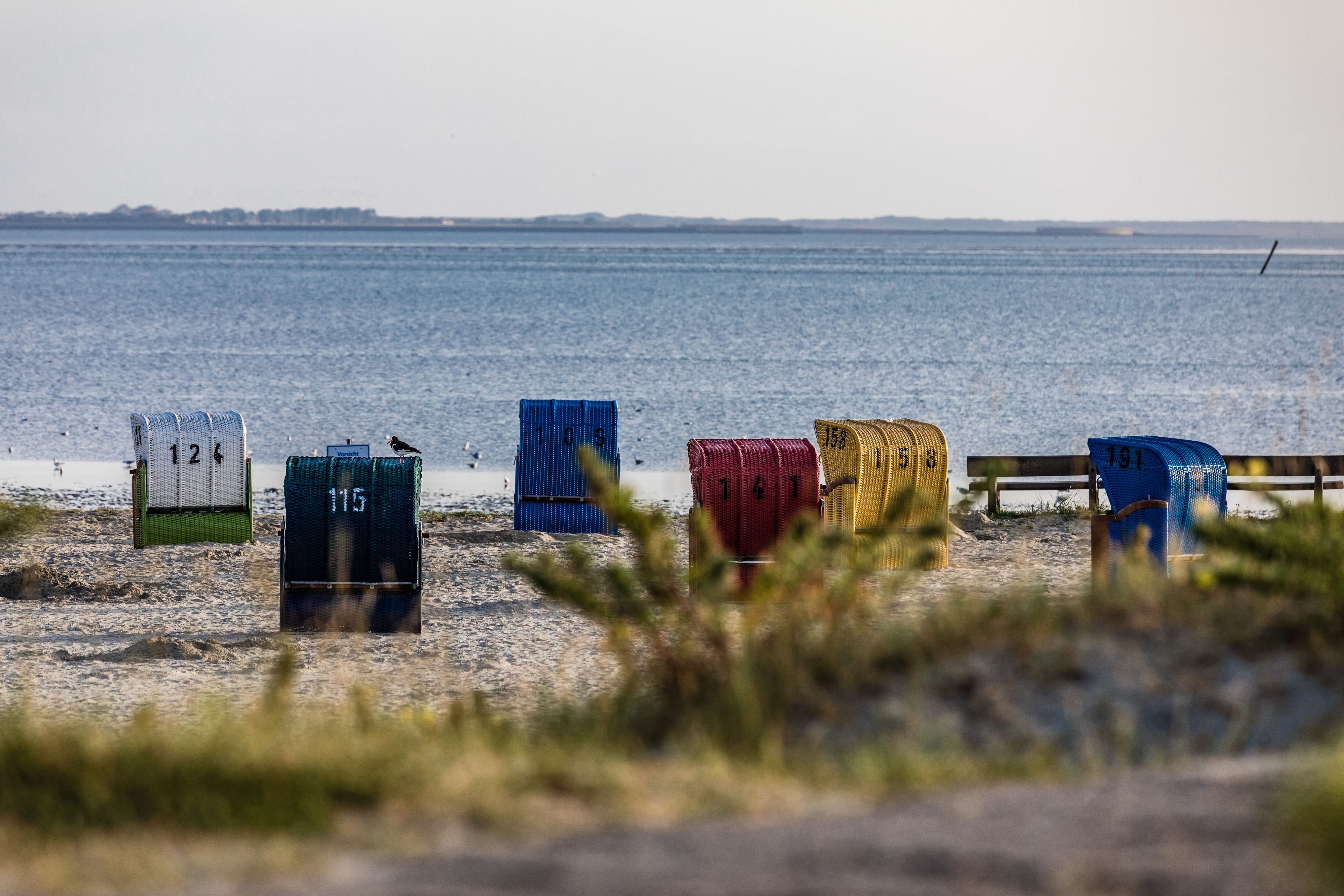 Nordseestrand Dornumersiel mit Strandkörben