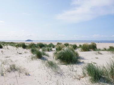 Dünengras am Nordsee Strand Fähre im Hintergrund 