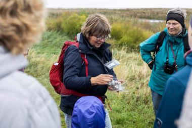 Salzwiesenführung Wangerland