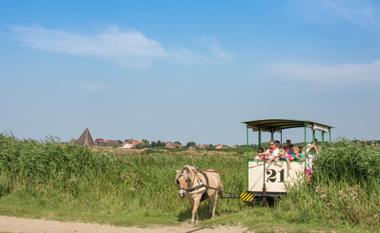 Die historische Pferdebahn auf Spiekeroog mit Fahrgästen durch eine grüne Wiesenlandschaft
