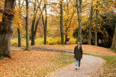 Spaziergang im Herbst im Schlosspark Lütetsburg