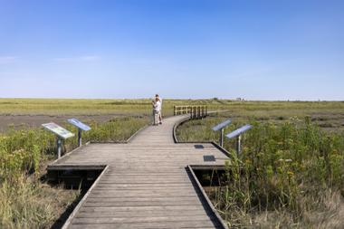 Holzsteg am Langwarder Groden