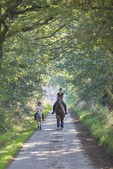 Pferde- und Ponyreiten auf einem Waldweg in Jümme