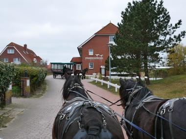 Blick über zwei Pferde auf eine Pferdekutsche im Dorf auf Baltrum