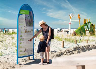 Dünenlehrpfad auf dem neuen DECK in Norden-Norddeich