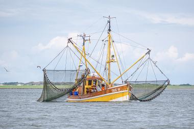 Gelber Krabbenkutter mit Schleppnetzen auf der Nordsee zwischen Bensersiel und Langeoog