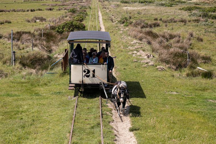 Museumspferdebahn Spiekeroog fährt durch die grüne Landschaft
