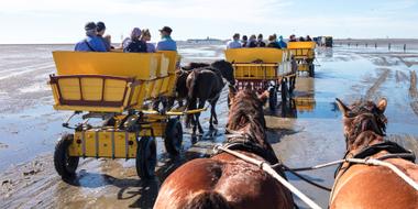Wattwagenfahrten zwischen Cuxhaven und der Insel Neuwerk
