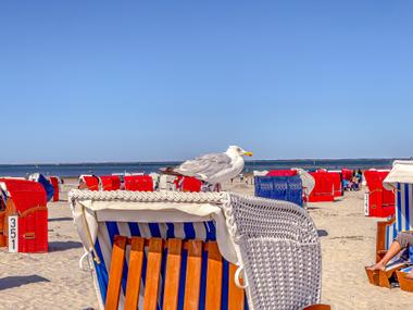 Möwe auf Strandkorb am Strand von Bensersiel
