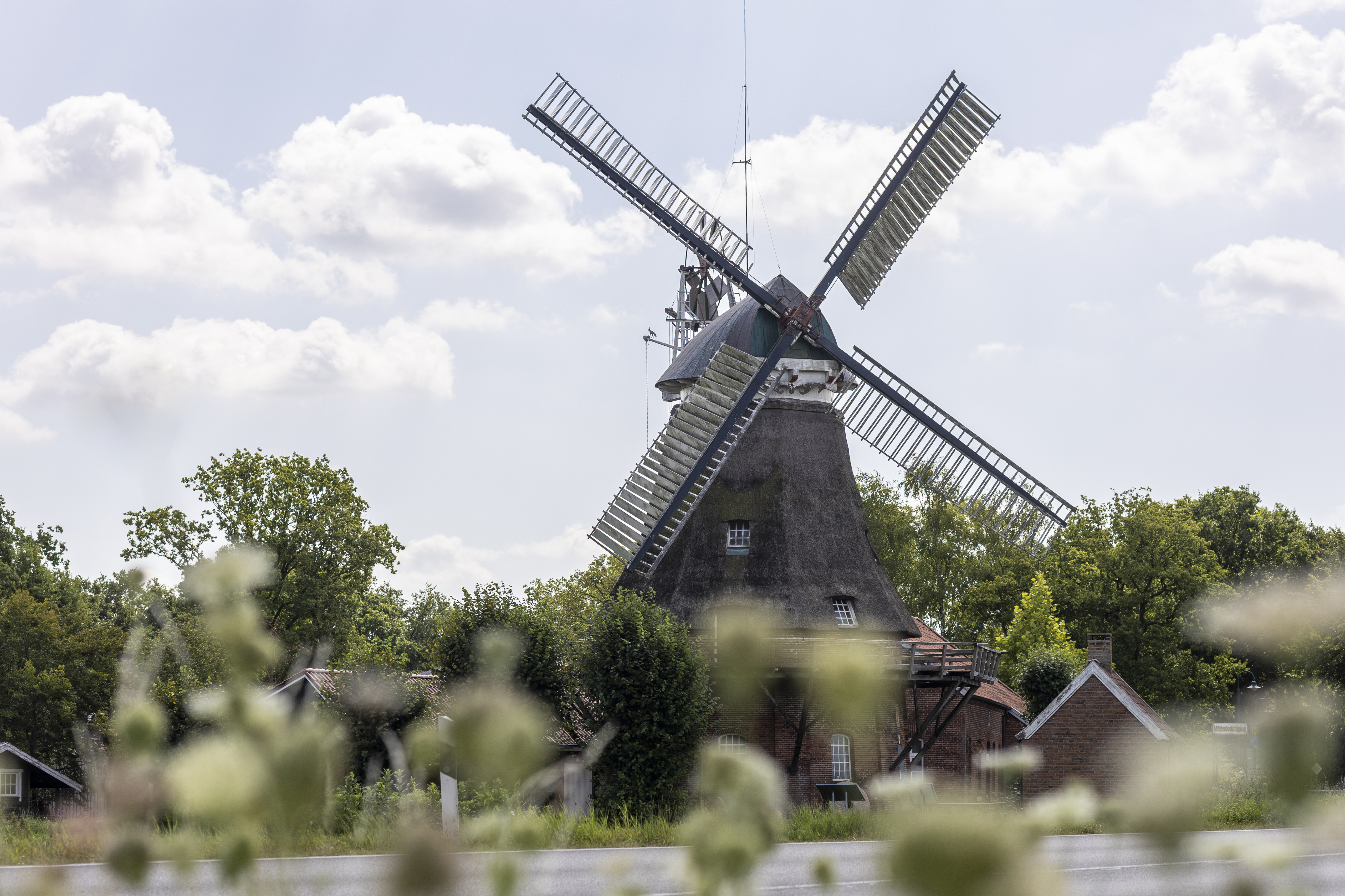 Mühle Bagband im grünen and er Straße in Großefehn